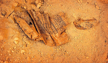 رازگشایی از ساخت اهرام با طومارهای دریای سرخ / روایتی دست اول از 4500 سال پیش