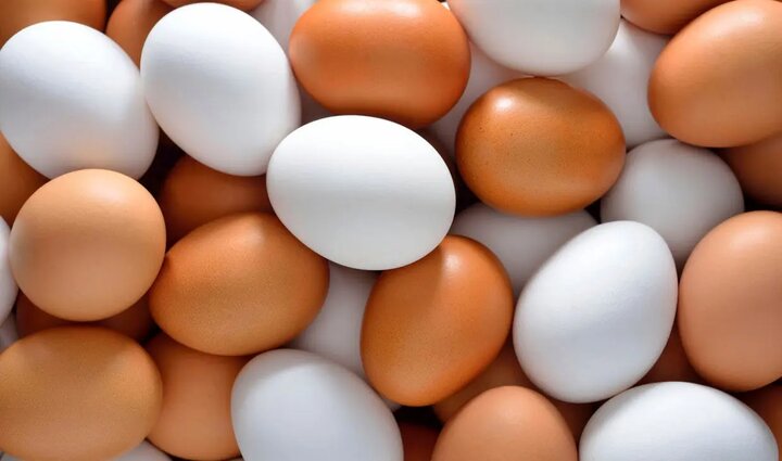 قیمت تخم مرغ از گوشت مرغ گران تر شد /  هر شانه تخم مرغ چند؟