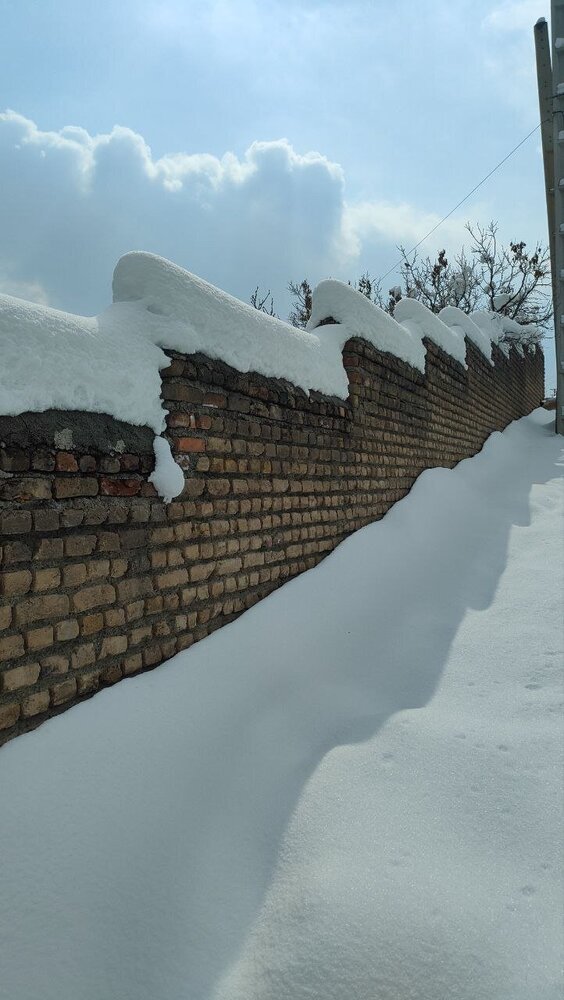 تصاویری از دفن شدن خودروها زیر برف در این منطقه تهران