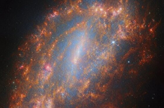 اکتشافات تلسکوپ جیمز وب در اسکلت کهکشان NGC ۱۵۵۹