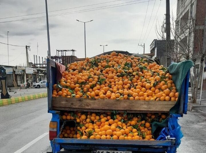اقدام عجیب فروشنده دوره گرد پرتقال در خیابان سوژه شد! + عکس