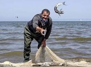 ترفند عجیب و جالب یک مرد برای صید ماهی + فیلم