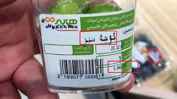 قیمت باورنکردنی گوجه سبز/ ۵ عدد گوجه سبز ۵۰۰ هزار تومان!