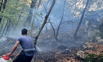 آتش به جان جنگل های مرزن‌آباد چالوس افتاد