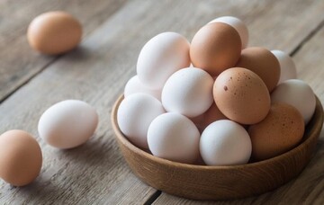 افزایش قیمت هر شانه تخم مرغ در بازار امروز سه‌شنبه ۱۴ فروردین ۱۴۰۳ + جزییات