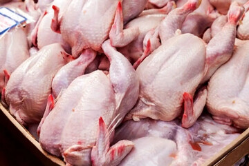 قیمت مرغ سر به فلک کشید /سینه مرغ ۲۷۰ هزار تومان