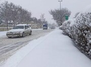 تصاویری باورنکردنی از بارش برف بهاری در سرعین اردبیل / فیلم