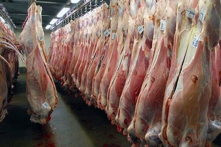 قیمت روز گوشت قرمز / ران گوسفندی کامل ۲ میلیون و ۹۹۰ هزار تومان