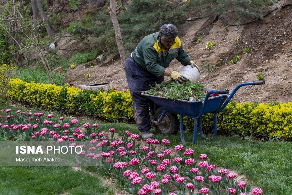 باغ گل جشنواره لاله‌های کرج