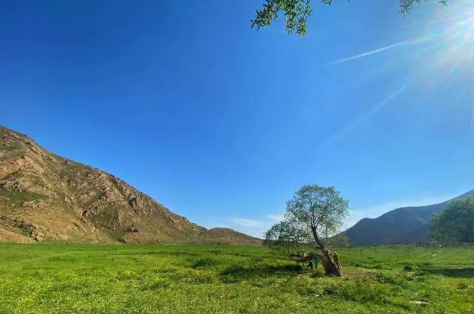 جذابترین دشتهای ایران / دشتهای ایران؛ نگارستان طبیعت در بهار