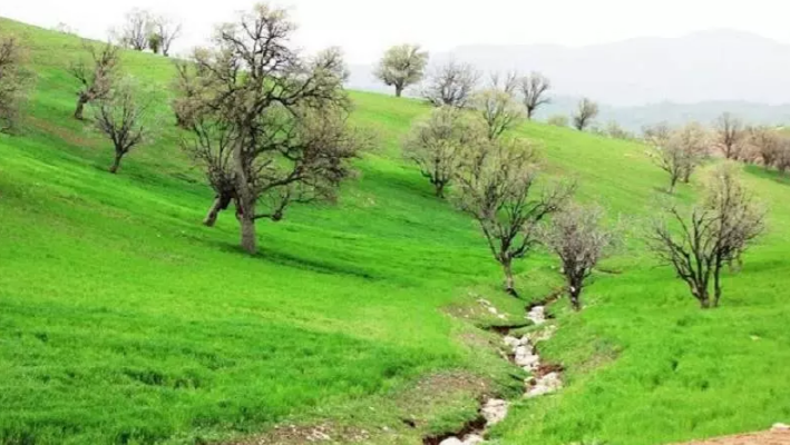 جذابترین دشتهای ایران / دشتهای ایران؛ نگارستان طبیعت در بهار