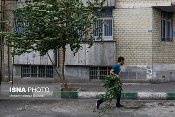 هشدار هواشناسی به شهروندان تهرانی به دلیل وزش باد شدید در پایتخت