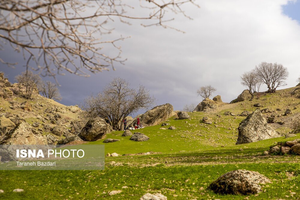 تصاویر رویایی از مخمل کوه در خرم آباد + عکس