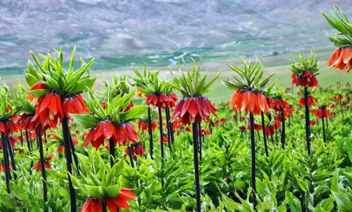 بهترین جاهای دیدنی در اردیبهشت / اردیبهشت، ماه سفر و طبیعتگردی!