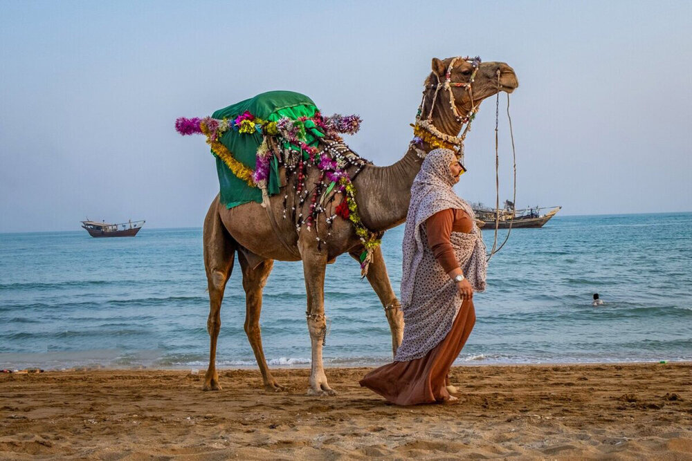 زیباترین تصاویر از خلیج فارس | ببینید