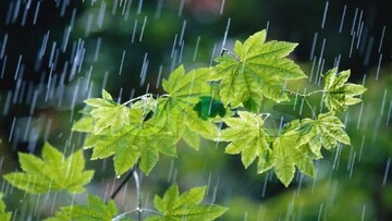 بارش شدید باران در هرمزگان + فیلم