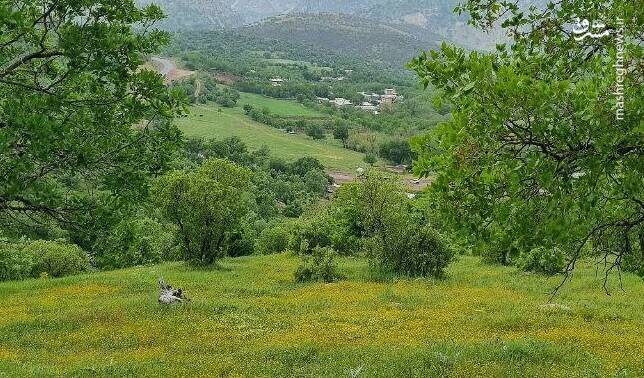 اینجا ایران است یا بهشت؟ + عکس زیبا روستای قلعه‌گاه روانسر