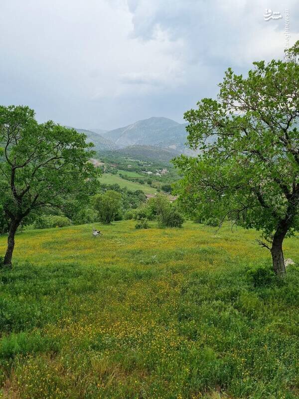 اینجا ایران است یا بهشت؟ + عکس زیبا روستای قلعه‌گاه روانسر