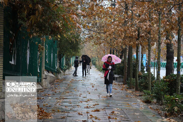 رکورد بارندگی سالانه در جنوب شرق ایران