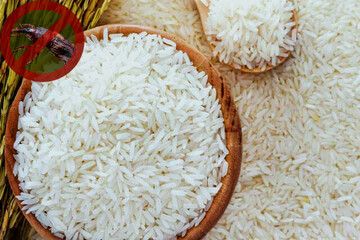 چگونه کِرم برنج را از بین ببریم؟
