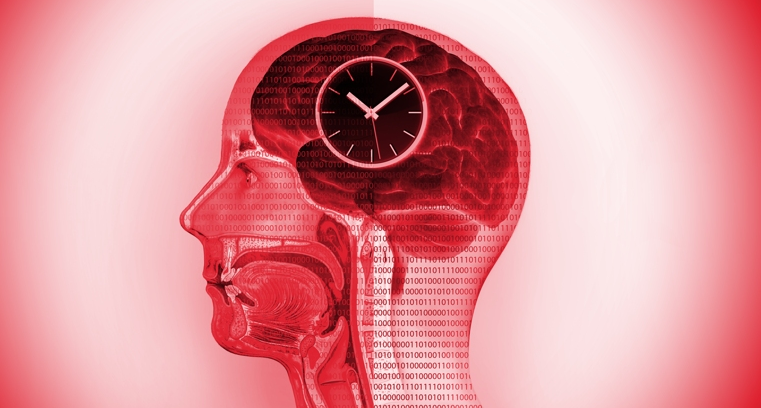 هماهنگی ساعتهای متعدد بدن، کلید کند شدن روند پیری است!