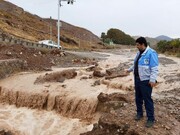 لحظه خروشان شدن رودخانه‌های پاکدشت در تهران + فیلم