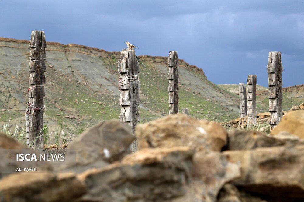  عجیب ترین قبرستان جهان در این منطقه ایران + «باغلق» کجاست؟ / عکس