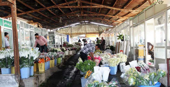 راهنمای خرید از بازارهای گل پایتخت