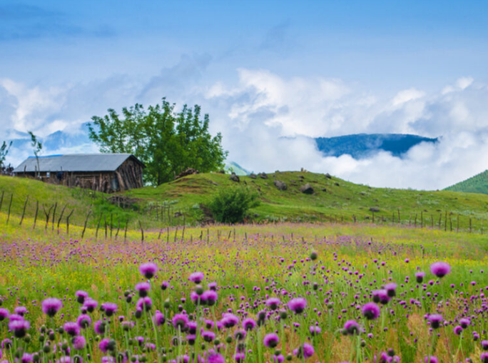 ییلاق سوادکوه؛ بهشت گمشده در میان کوههای مازندران