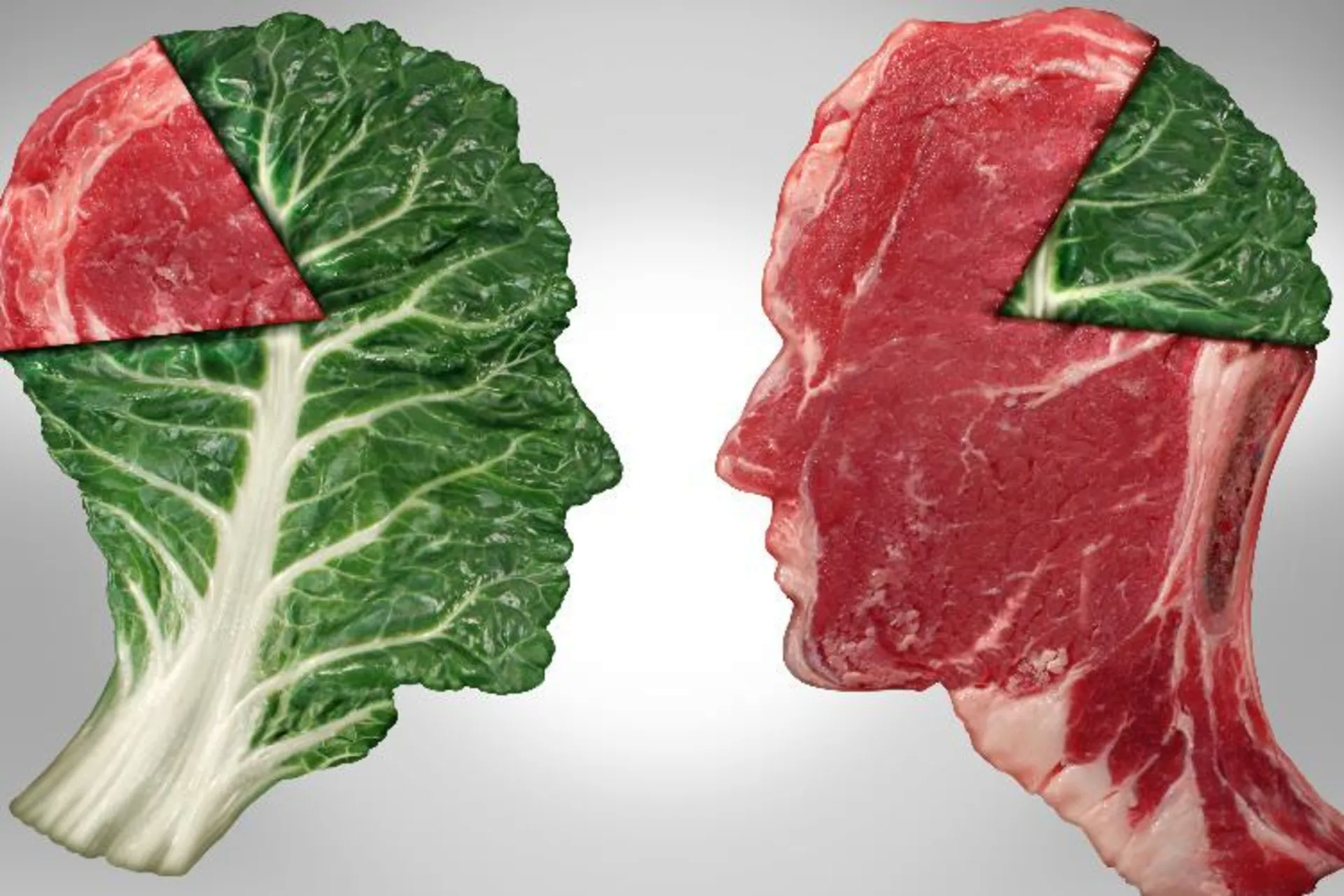 همه چیز درباره گوشت قرمز: ضرر و فایده گوشت قرمز، جایگزین گوشت قرمز و آخرین قیمت گوشت قرمز