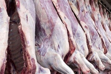 قیمت روز گوشت قرمز / ران کامل گوسفندی ۲ میلیون و ۹۹۰ هزار تومان!