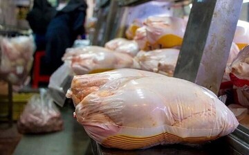 قیمت روز مرغ در بازار / هر کیلو ران و سینه مرغ ۲۵۴ هزار تومان!