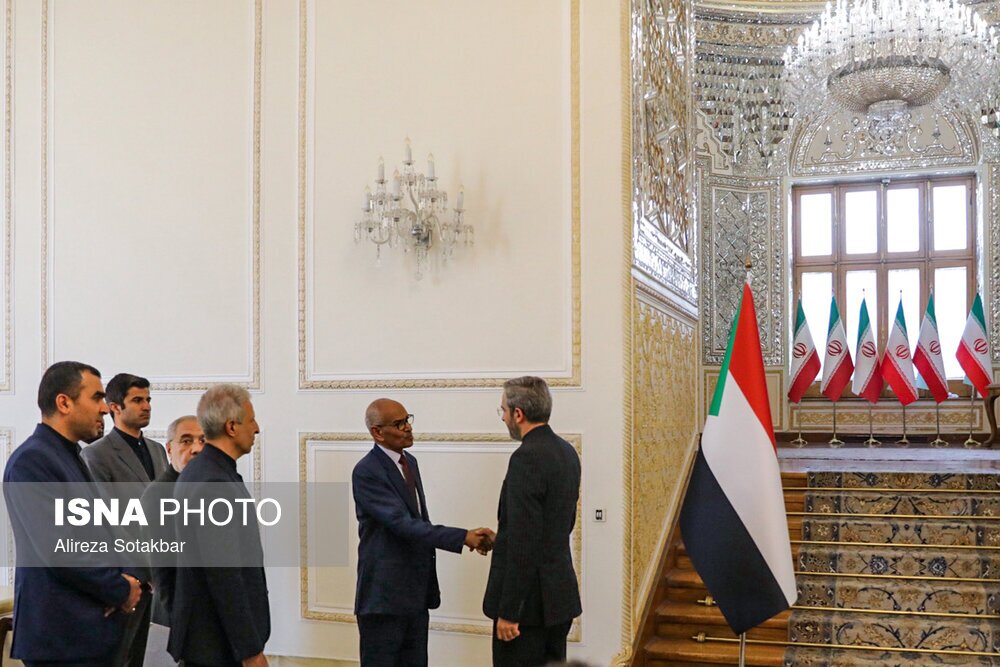 دیدار وزیر خارجه سودان با علی باقری