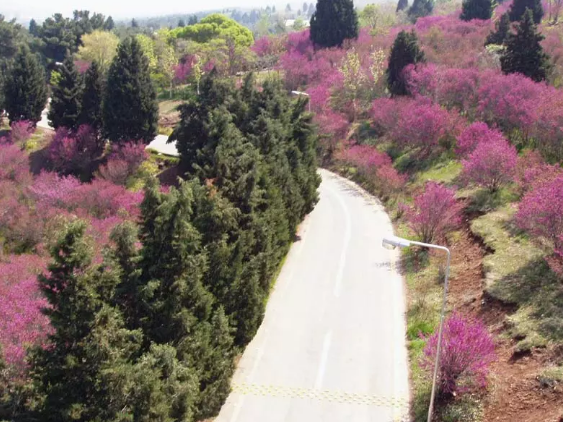 پاتوقهای پیکنیک در اطراف تهران