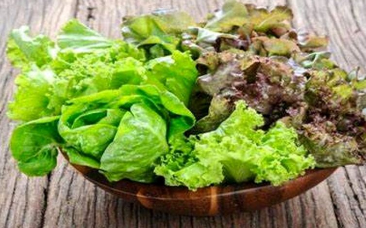 ۹ خاصیت شگفتانگیز کاهو که بهتر است بدانید