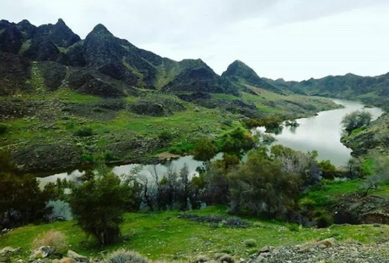 گشتی در سرزمین نخلستانهای کهنوج کرمان