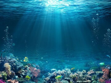 تصاویری از اعماق اقیانوس که وحشت زده می شوید/ فیلم