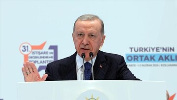 درخواست اردوغان از کشورها علیه اسرائیل