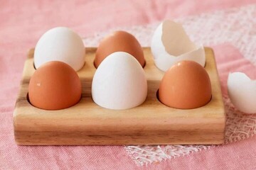 جدیدترین قیمت تخم مرغ در بازار/ ۵ عدد تخم مرغ ۴۵ هزار تومان