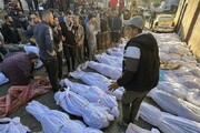 شمار شهدای غزه ۳۷ هزار ۱۶۴ نفر شد