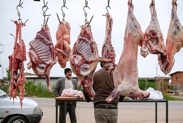 قیمت گوشت سه برابر گران تر به دست مردم می رسد / هر کیلو گوشت ۶۰۰ هزار تومان!