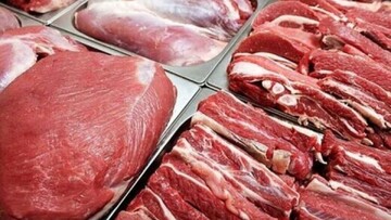 رشد ۴ برابری واردات گوشت / هرکیلو دام ۳۱۰ هزارتومان شد