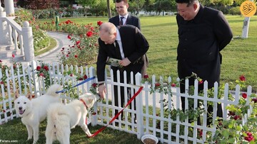 هدیه جنجالی رهبر کره شمالی به پوتین + عکس