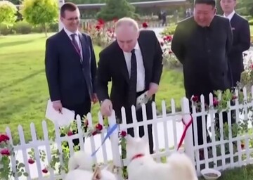 رهبر کره شمالی به پوتین دو سگ سفید هدیه داد / فیلم