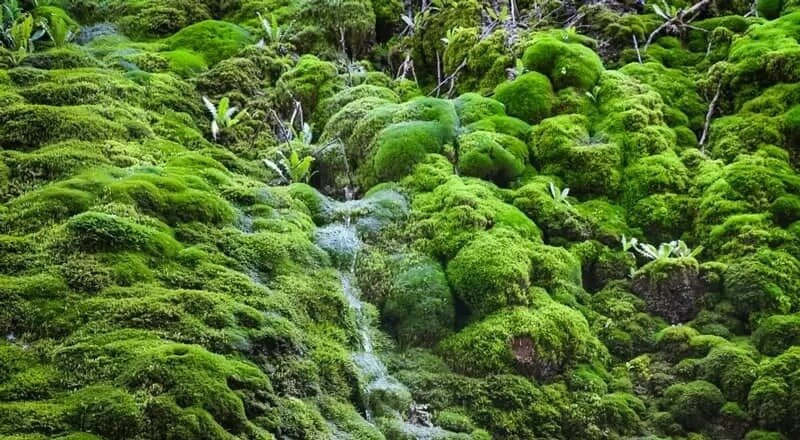 شهر بدون قبرستان ایران کجاست؟