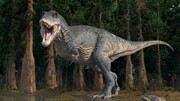 کشف استخوان‌های دایناسورهای منقرض شده با قدمت بیش از ۲۰۰ میلیون سال + فیلم