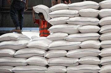واردات برنج در سال جاری کاهش چشمگیری داشته است