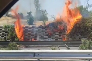 فوری؛ آتش‌سوزی در بزرگراه آزادگان تهران