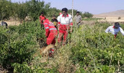 آخرین خبرها درباره دختربچه گمشده الیگودرزی پس از گذشت ۵ روز