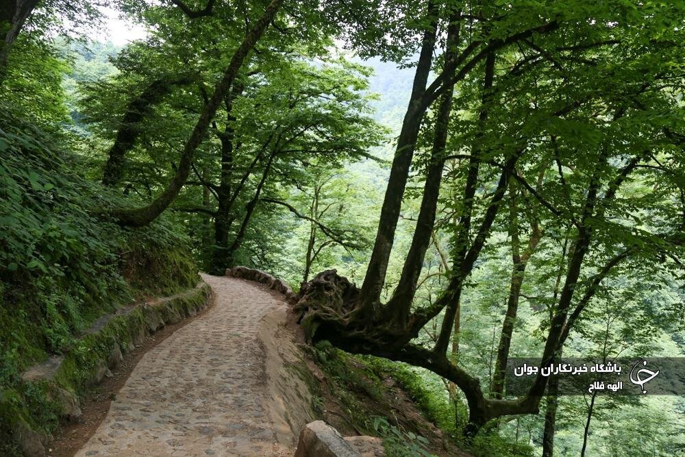 قلعه رودخان یادگار به جامانده از ساسانیان در گیلان + تصاویر